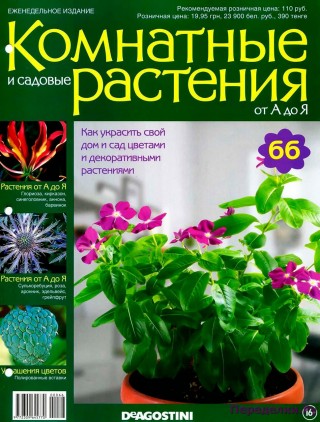 Комнатные и садовые растения от А до Я 66 15
